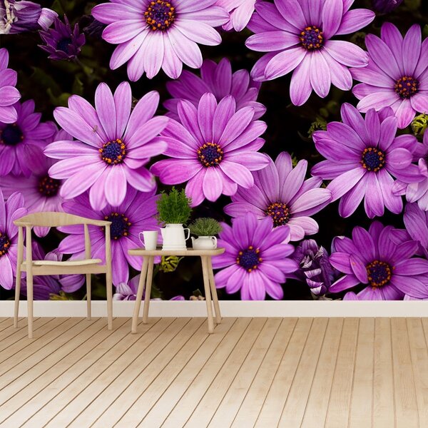 Carta da parati Fiori viola 104x70 cm