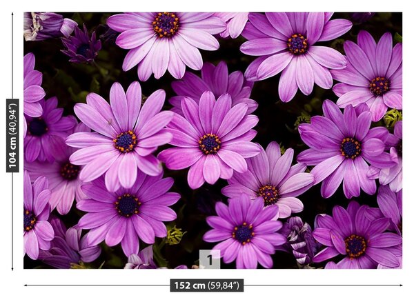 Carta da parati Fiori viola 104x70 cm