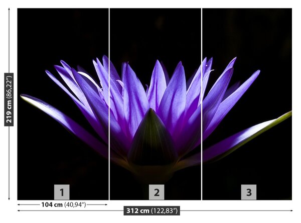 Carta da parati Loto viola 104x70 cm