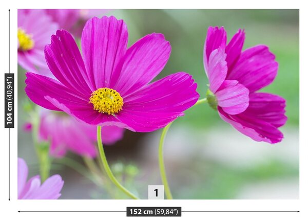 Carta da parati Fiori spaziali 104x70 cm