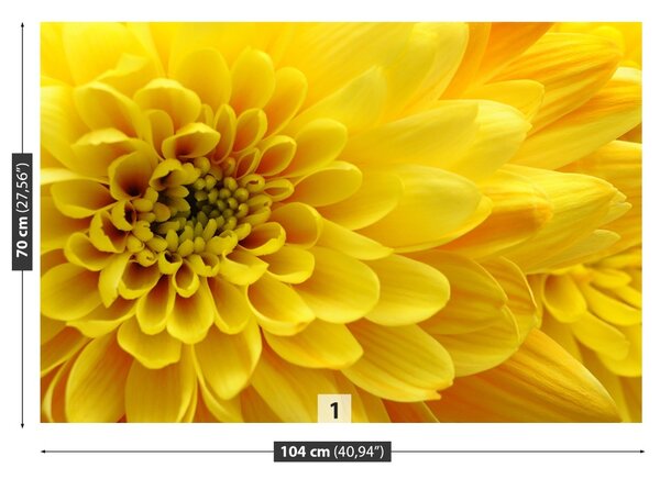 Carta da parati Fiore giallo 104x70 cm