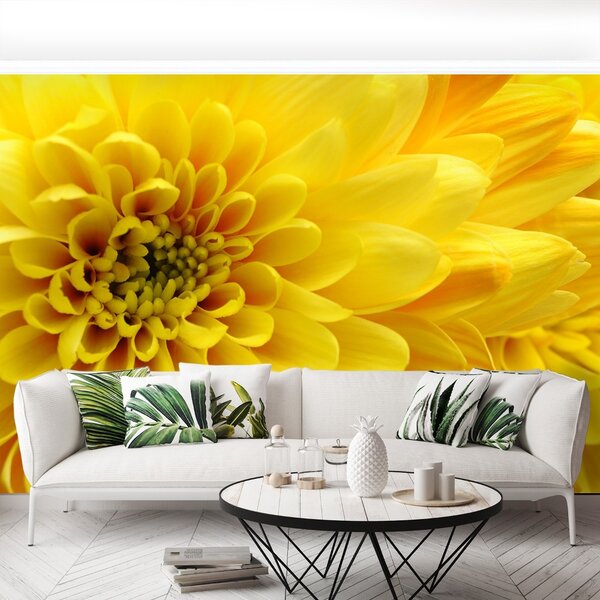 Carta da parati Fiore giallo 104x70 cm