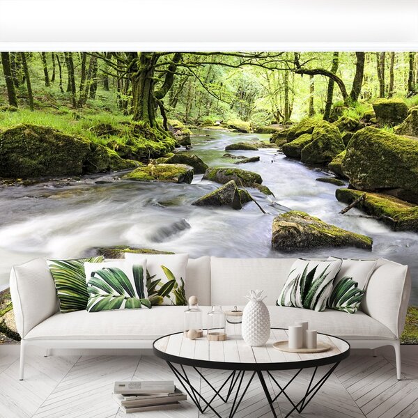 Carta da parati Fowey River 104x70 cm