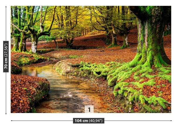 Carta da parati Foresta in autunno 104x70 cm