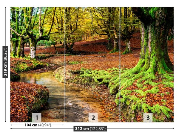 Carta da parati Foresta in autunno 104x70 cm