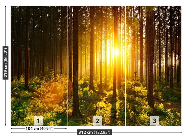 Carta da parati Foresta del sole 104x70 cm