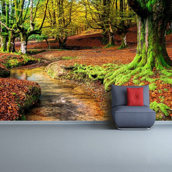 Carta da parati Foresta in autunno 104x70 cm