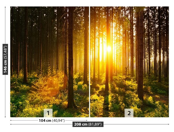 Carta da parati Foresta del sole 104x70 cm