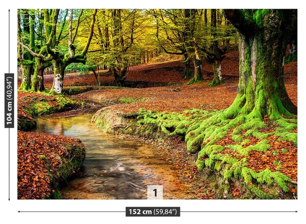 Carta da parati Foresta in autunno 104x70 cm