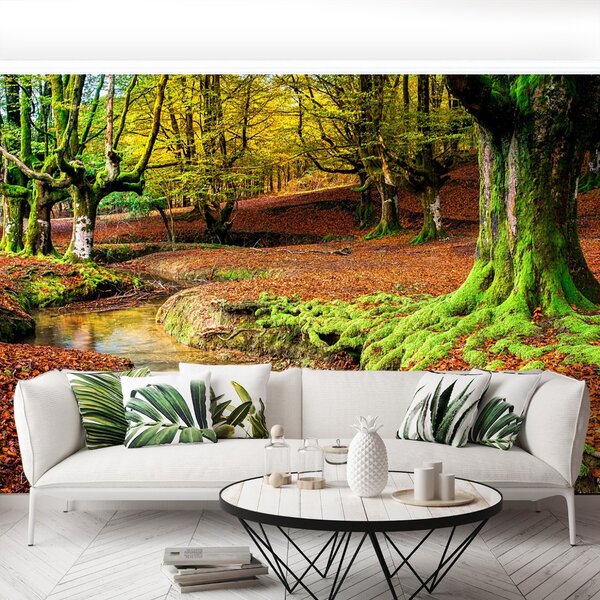 Carta da parati Foresta in autunno 104x70 cm