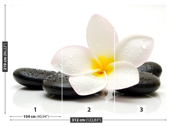Carta da parati Pietre di plumeria 104x70 cm