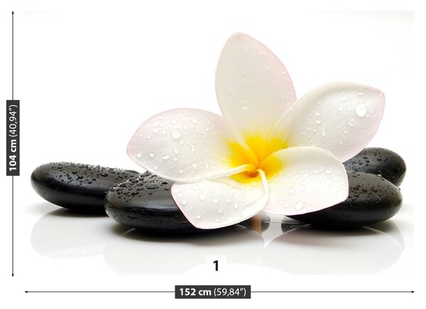 Carta da parati Pietre di plumeria 104x70 cm
