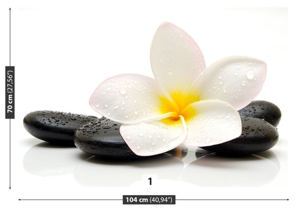 Carta da parati Pietre di plumeria 104x70 cm