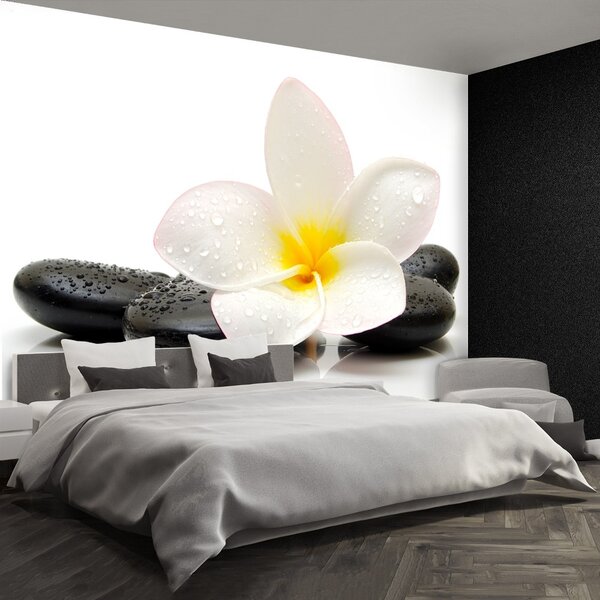 Carta da parati Pietre di plumeria 104x70 cm