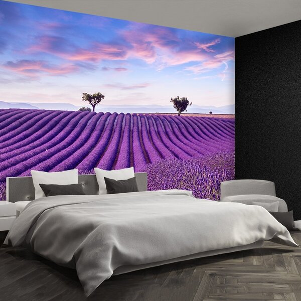 Carta da parati Campo di lavanda 104x70 cm