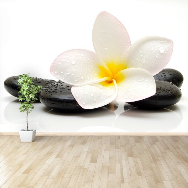 Carta da parati Pietre di plumeria 104x70 cm