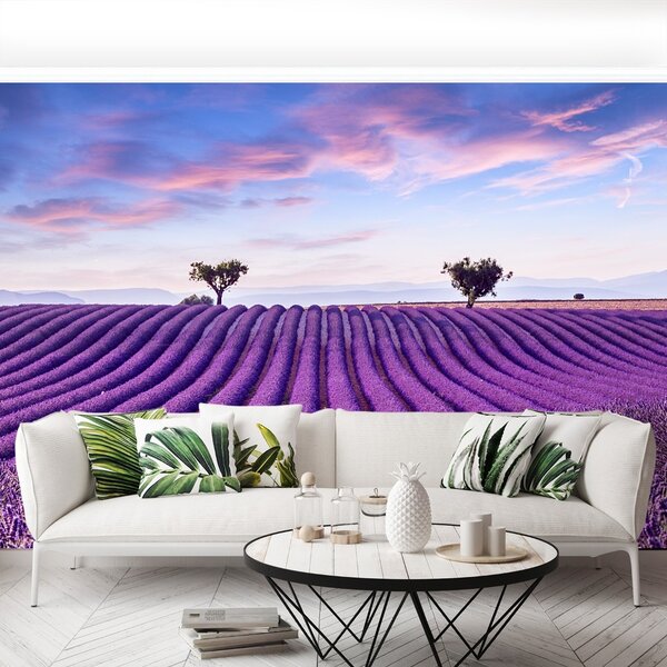 Carta da parati Campo di lavanda 104x70 cm