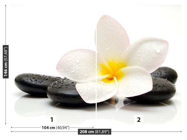 Carta da parati Pietre di plumeria 104x70 cm