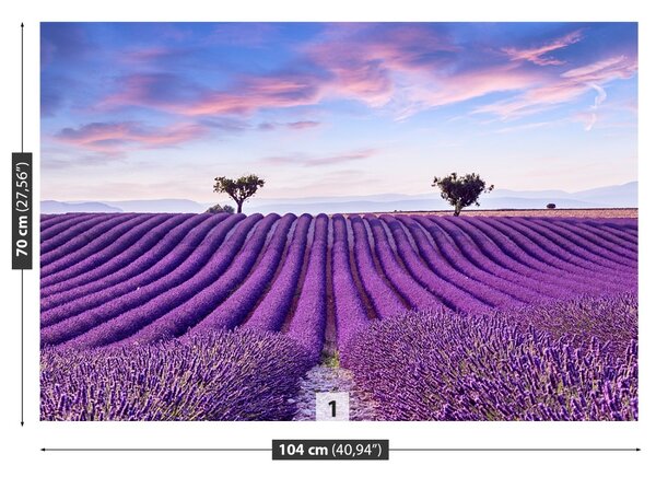 Carta da parati Campo di lavanda 104x70 cm