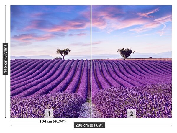 Carta da parati Campo di lavanda 104x70 cm