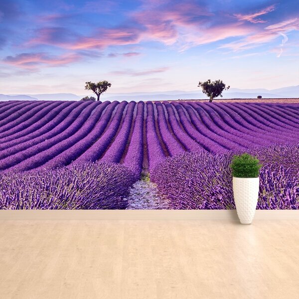 Carta da parati Campo di lavanda 104x70 cm