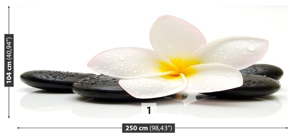 Carta da parati Pietre di plumeria 104x70 cm