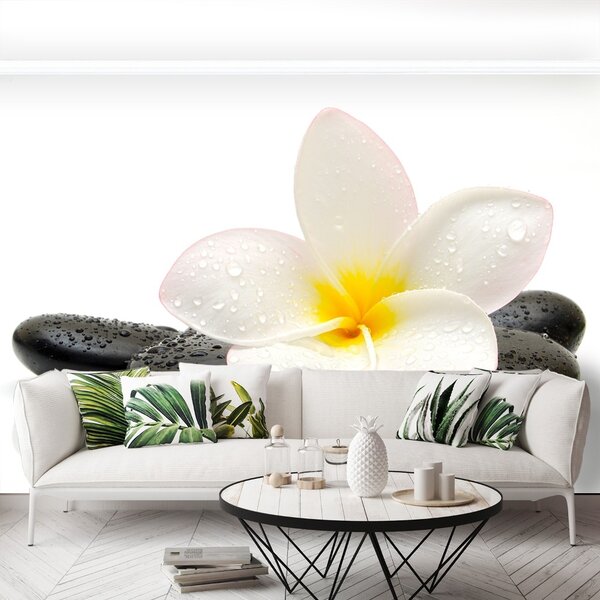 Carta da parati Pietre di plumeria 104x70 cm