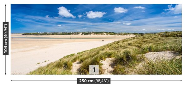 Carta da parati Dunes Beach 104x70 cm