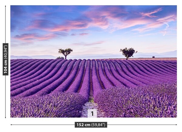 Carta da parati Campo di lavanda 104x70 cm