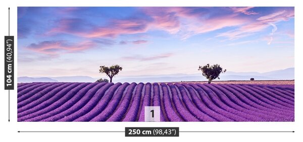 Carta da parati Campo di lavanda 104x70 cm
