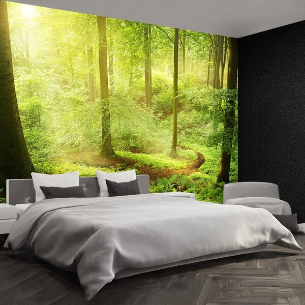 Carta da parati Foresta nebbiosa 104x70 cm