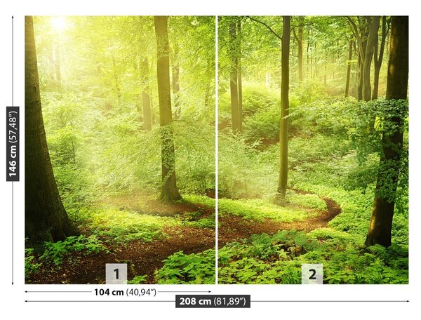 Carta da parati Foresta nebbiosa 104x70 cm