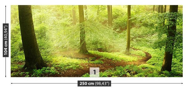 Carta da parati Foresta nebbiosa 104x70 cm
