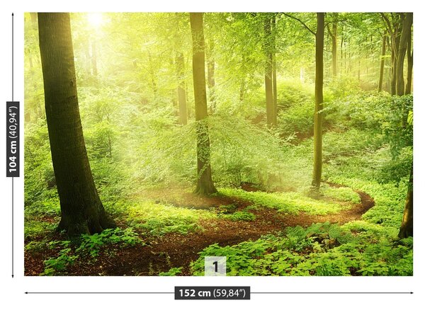 Carta da parati Foresta nebbiosa 104x70 cm