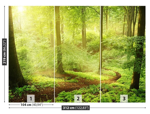 Carta da parati Foresta nebbiosa 104x70 cm