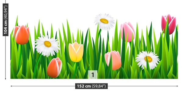 Carta da parati Tulips erba 104x70 cm