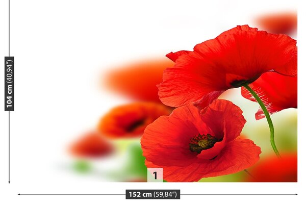 Carta da parati Poppies bianchi 104x70 cm