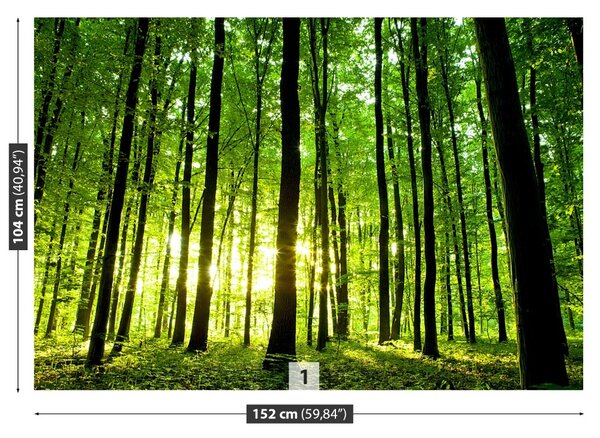 Carta da parati Foresta verde 104x70 cm