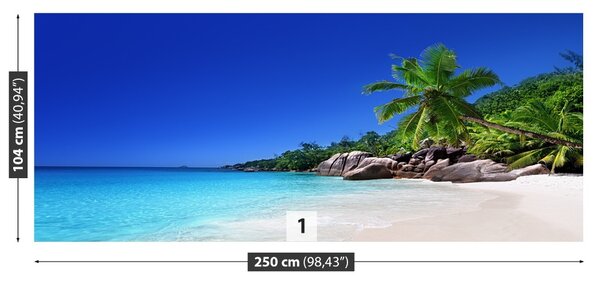 Carta da parati Seychelles Beach 104x70 cm