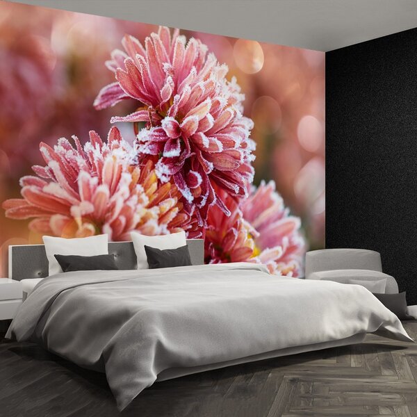 Carta da parati Aster rosa ghiaccio 104x70 cm