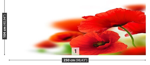 Carta da parati Poppies bianchi 104x70 cm