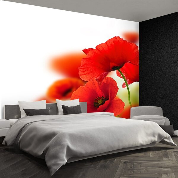 Carta da parati Poppies bianchi 104x70 cm