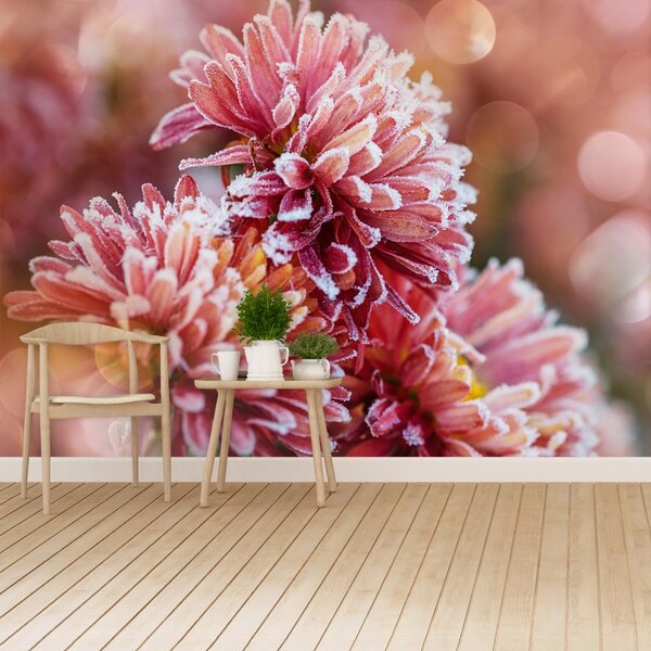 Carta da parati Aster rosa ghiaccio 104x70 cm