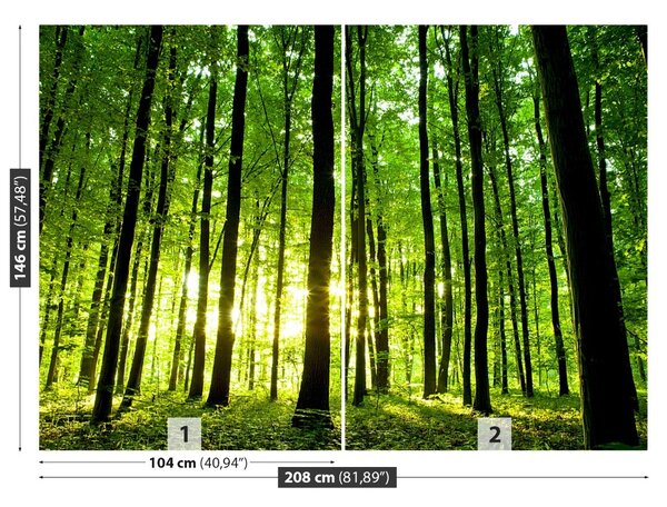 Carta da parati Foresta verde 104x70 cm