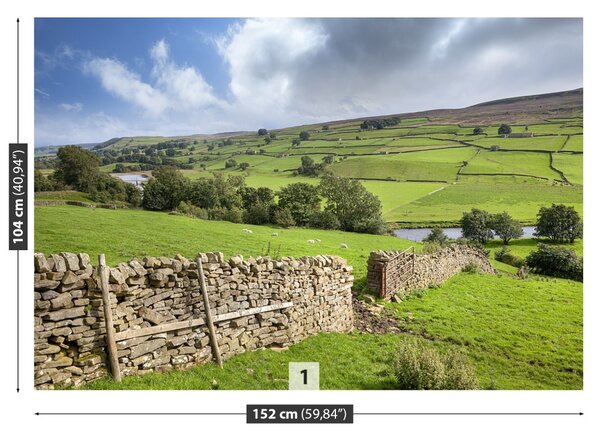Carta da parati Yorkshire Valley 104x70 cm