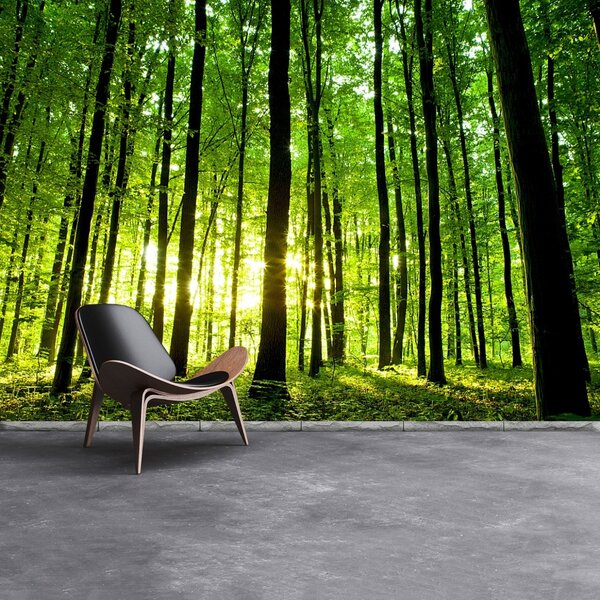 Carta da parati Foresta verde 104x70 cm