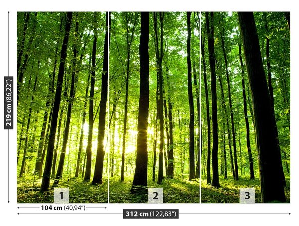 Carta da parati Foresta verde 104x70 cm