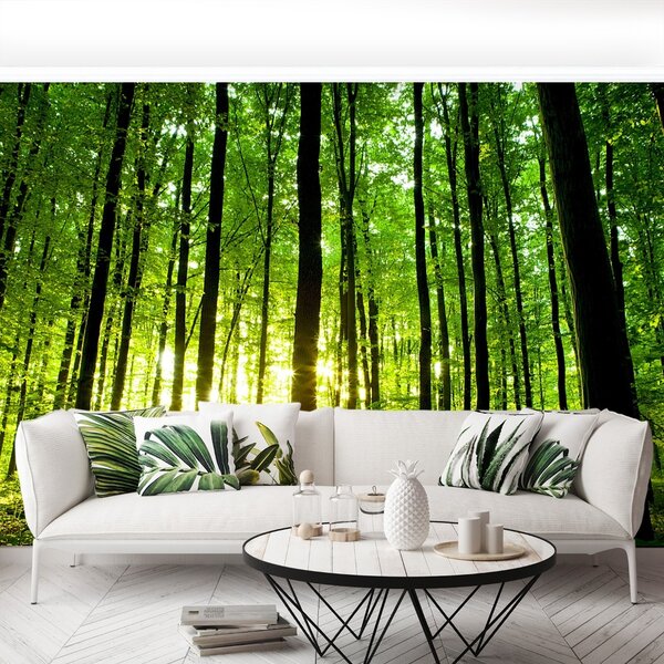 Carta da parati Foresta verde 104x70 cm