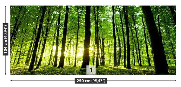 Carta da parati Foresta verde 104x70 cm
