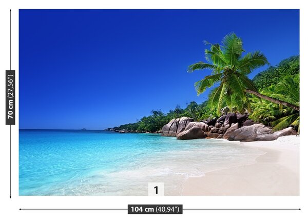 Carta da parati Seychelles Beach 104x70 cm